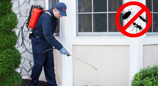 Akkuş Haşere İlaçlama böcek ilaçlama ve haşere kontrolü — ilaclama-tr.com